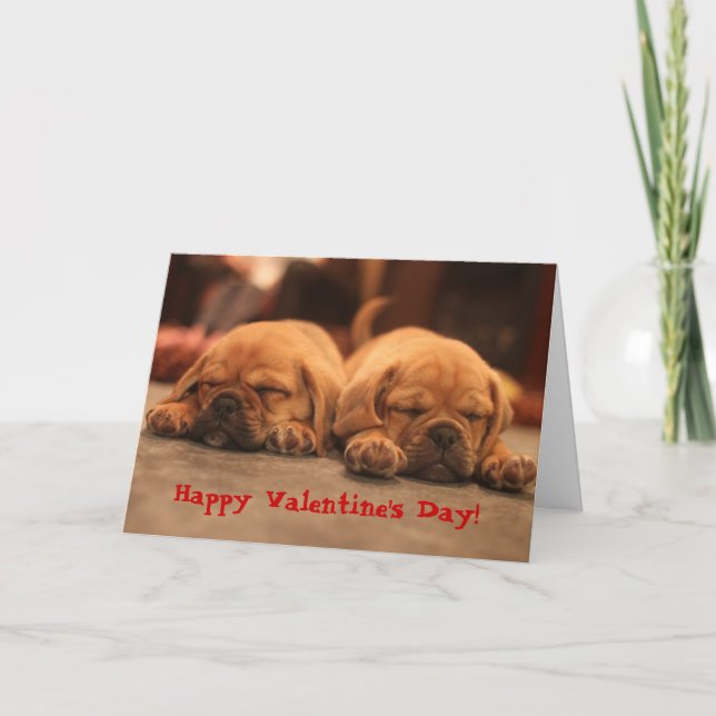 Puggle Valentine's Day Holiday Card (Front)