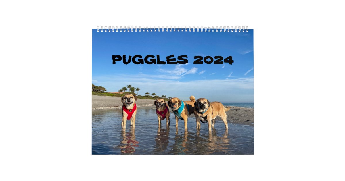 PUGGLES 2024 CALENDAR Zazzle
