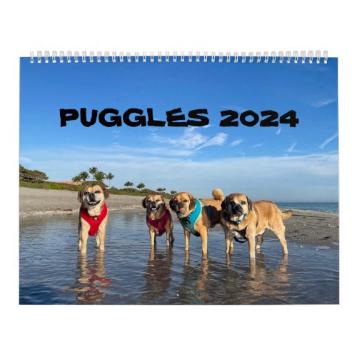 PUGGLES 2024 CALENDAR