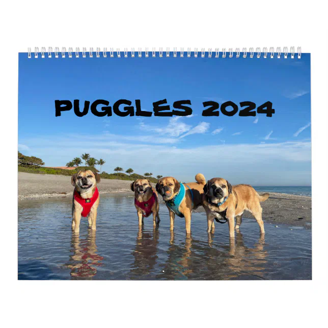 PUGGLES 2024 CALENDAR Zazzle