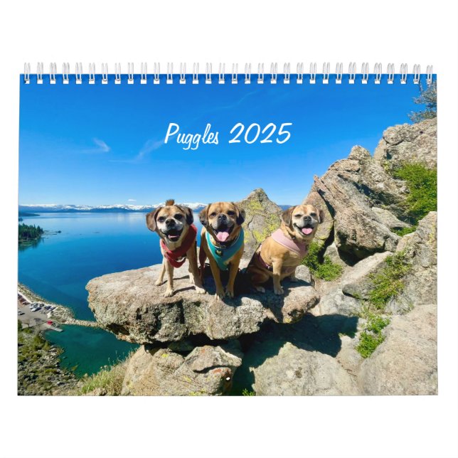 Puggles 2025 calendar (Cover)