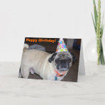 Puggy Greetings: Birthday Card at Zazzle