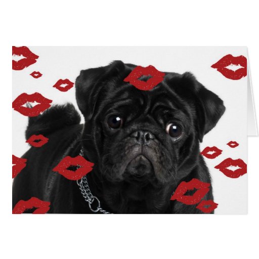 Pugs and Kisses Card | Zazzle
