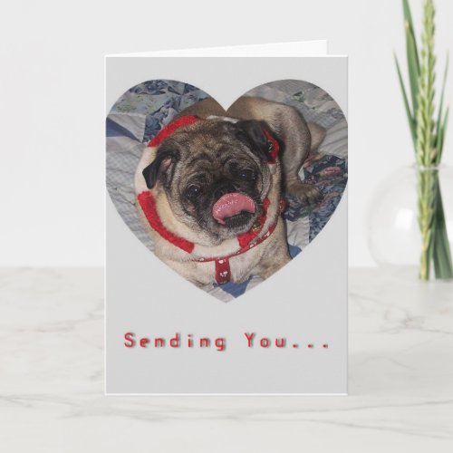 Pugs And Kisses Valentines Day Card