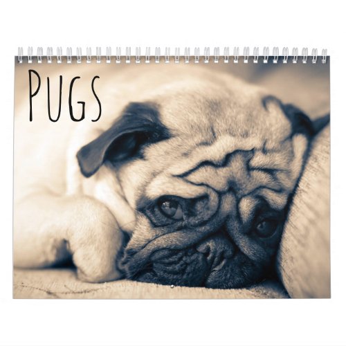 Pugs Calendar