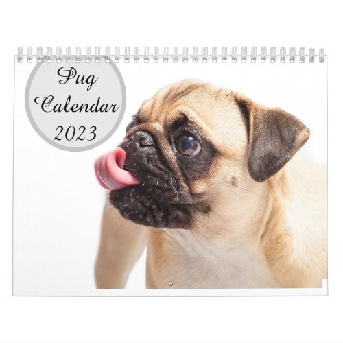 Pugs Calendar 2023