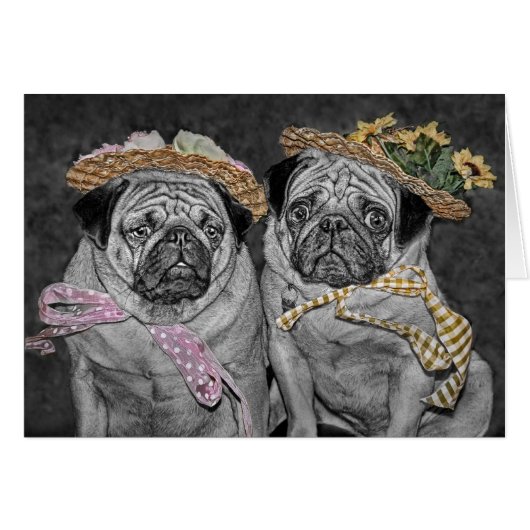 Pugs in Bonnets Cards (Front Horizontal)
