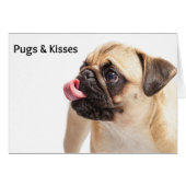 Pugs & Kisses Card (Front Horizontal)