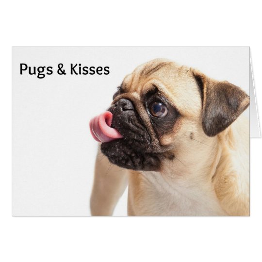 pugs and kisses teddy