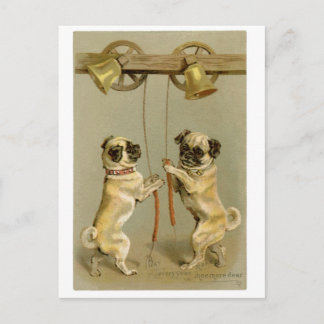 Pugs New Year/Christmas Postcard