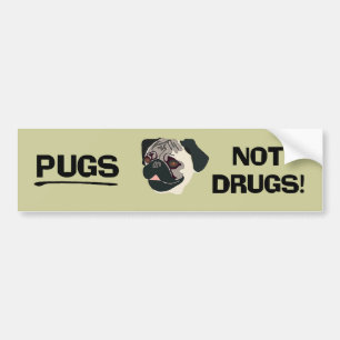 Pugs Not Drugs Bumper Sticker