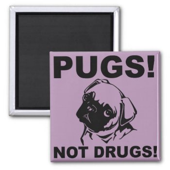 Pugs Not Drugs Funny Fridge Magnet Refrigerator by FunnyBusiness at Zazzle