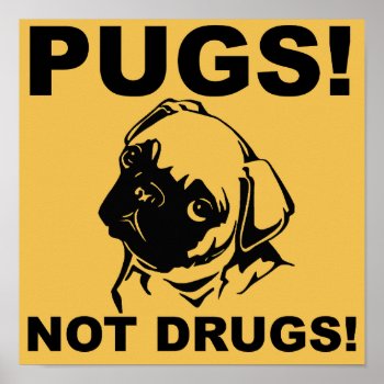 Pugs Not Drugs Funny Poster Sign Sayings by FunnyBusiness at Zazzle