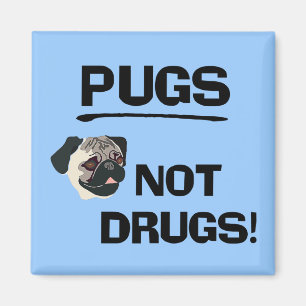 Pugs Not Drugs Magnet