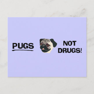 Pugs Not Drugs Postcard