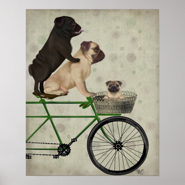 Pugs on Bicycle Poster (Front)