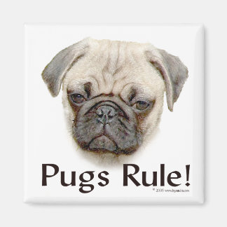 Pugs Rule Magnet
