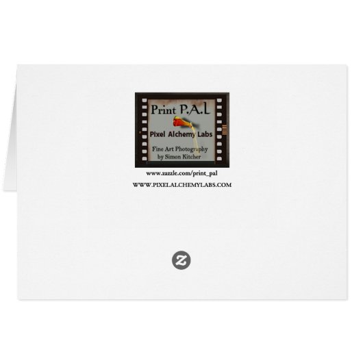 Pukeko Card (Back Horizontal)