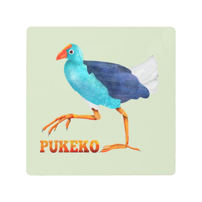 Pukeko Metal Print (Front)