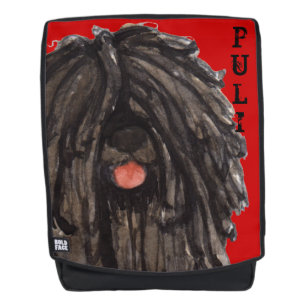 Puli Color Block Backpack