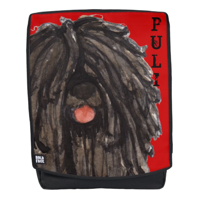 Puli Color Block Backpack (Front)