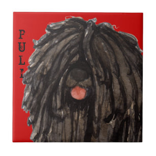 Puli Color Block Ceramic Tile