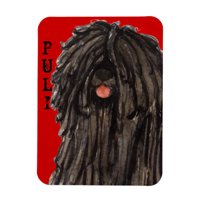 Puli Block Puli Color Block Magnet | Zazzle