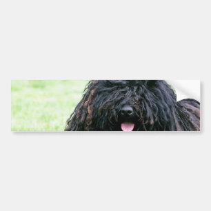 Puli Dog Bumper Sticker