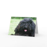 Puli Dog  Greeting Cards