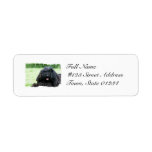 Puli Dog Mailing Labels