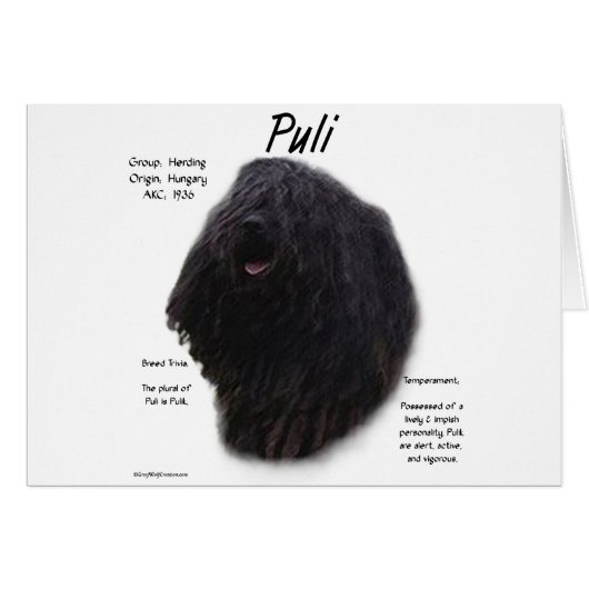 Puli History Design Cards (Front Horizontal)