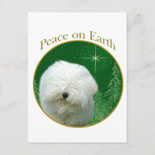 Puli Peace Postcard