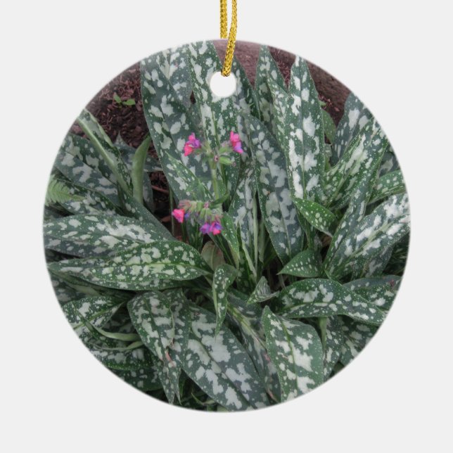 Pulmonaria - Lungwort perennial Ceramic Ornament (Front)