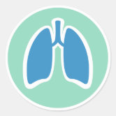 Major Internal Organs in the Human Body Chart Classic Round Sticker