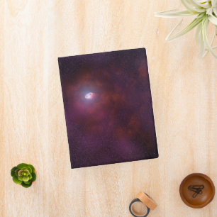 Pulsar Wind From A Neutron Star. Mini Binder