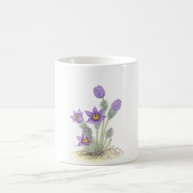 Pulsatilla vulgaris - Customized Coffee Mug (Center)