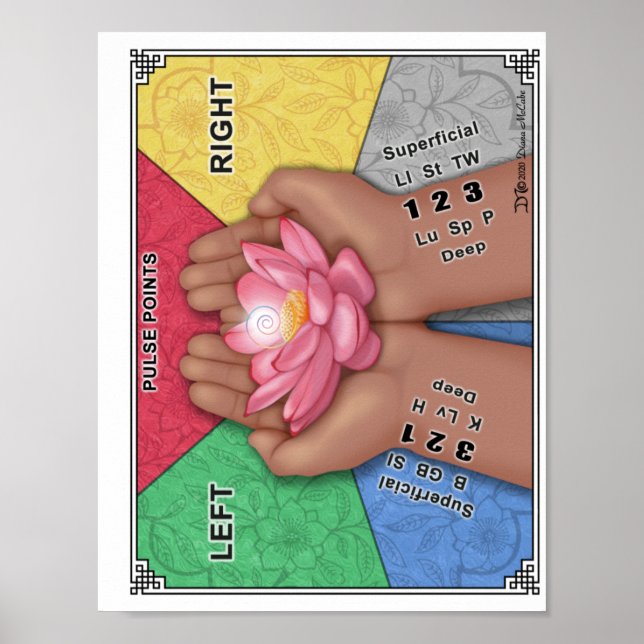 Pulse Chart for Notebook (Front)