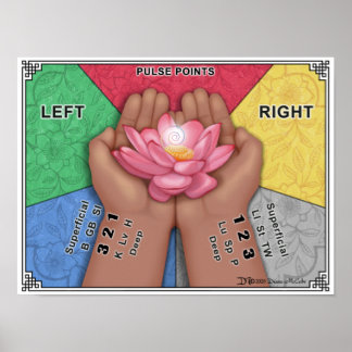 Pulse Point Wall Chart - Large