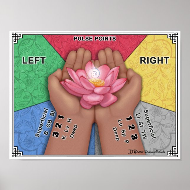 Pulse Point Wall Chart - Small (Front)