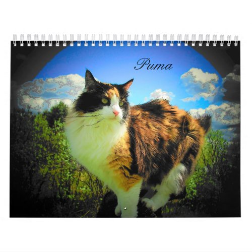 Puma Cat My Supermodel Calico II Calendar