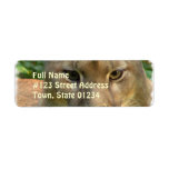 Puma Cat Return Address Mailing Label