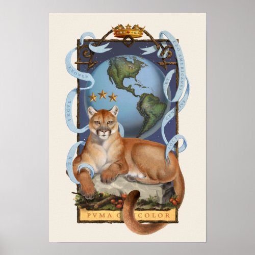 Puma concolor Lion of the Americas Poster