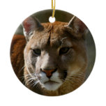 Puma Ornament