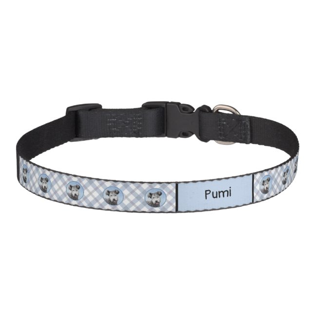 Pumi Painting - Cute Original Dog Art Pet Collar (Front)