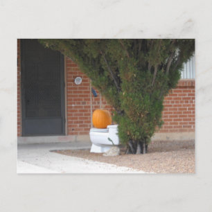 pumkin sitting on a toilet postcard