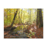 Pump House Trail in Autumn Postcard