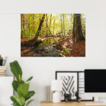 Pump House Trail in Autumn Poster