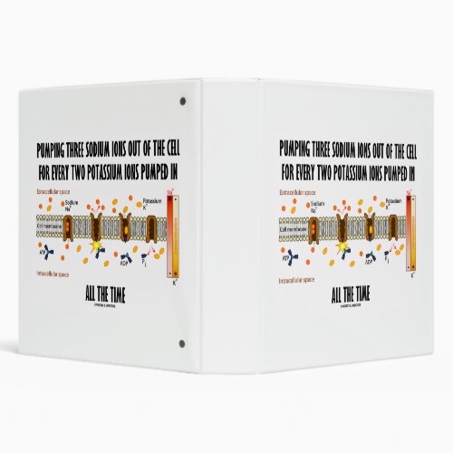 Pumping Three Sodium Ions Out Of Cell Na_K Pump 3 Ring Binder