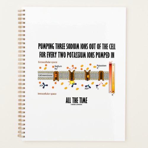 Pumping Three Sodium Ions Out Of Cell Na_K Pump Planner