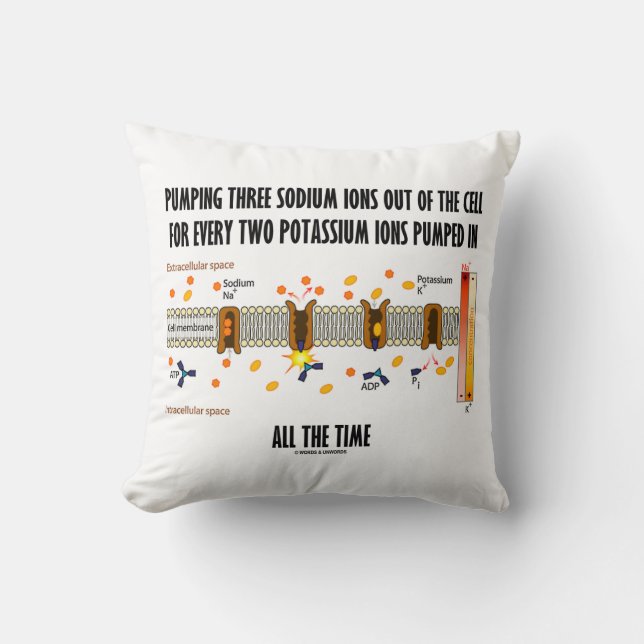 Pumping Three Sodium Ions Out Of Cell Na-K Pump Throw Pillow (Front)